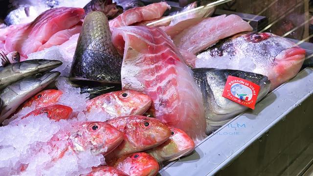 Frischer Fisch an unserem Marktstand – Bild 2