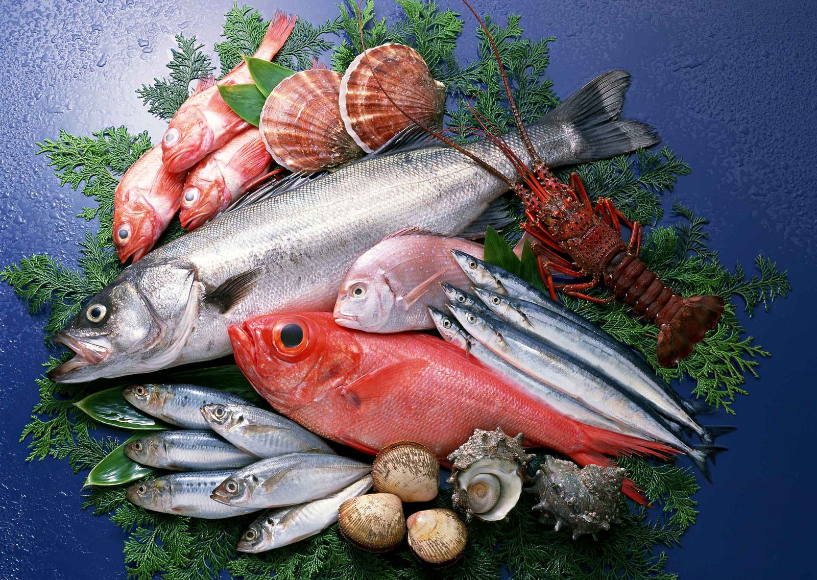 Frische Fischplatte mit Wolfsbarsch, Rotbarbe, Hummer und Jakobsmuscheln
